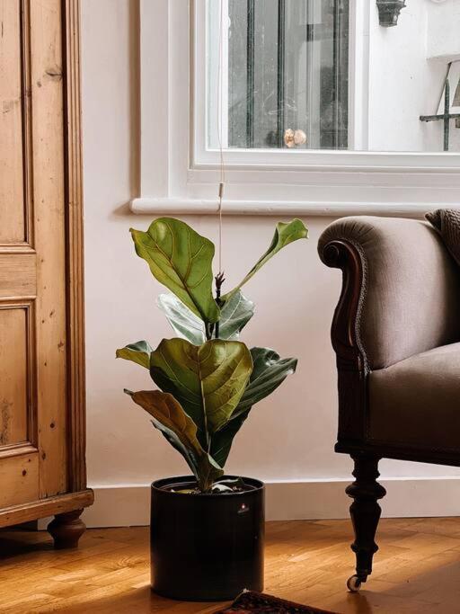 Stunning Victorian Mansion Apartment - Hosted By Agf Property - Free Parking Upon Request Μπράιτον Εξωτερικό φωτογραφία